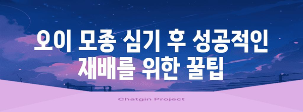 오이 모종 심기 모든 것 | 시기, 방법, 성공적 재배 기술