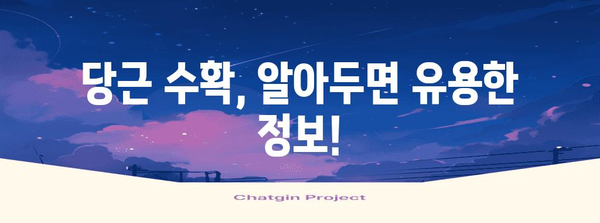 올바른 당근 수확의 열쇠 | 시기, 방법, 보관법