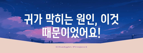 한쪽 귀 막혔을 때 | 원인과 치료법 완전 해설