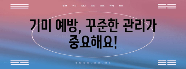 기미 없애는 효과적인 5가지 방법