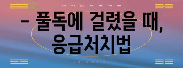 풀독의 위험 신호 | 원인, 증상, 대비책