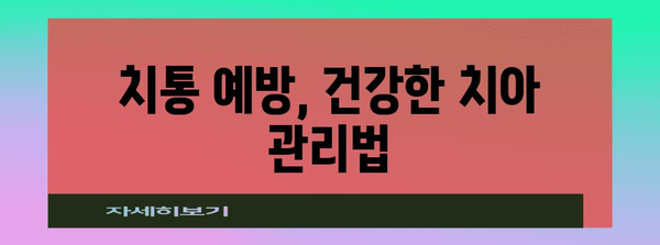 치통을 해결하는 완벽한 가이드