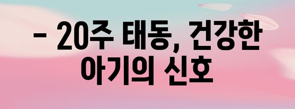 태동이 활발해지는 20주 임신기 | 신호와 주의 사항