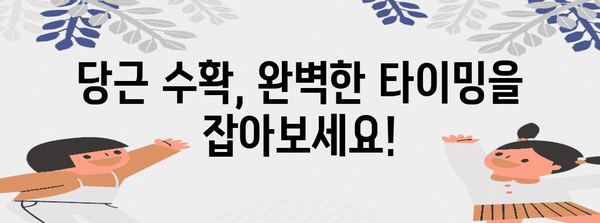 올바른 당근 수확의 열쇠 | 시기, 방법, 보관법