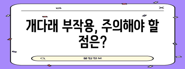 개다래의 놀라운 치유력 | 효능과 사용법