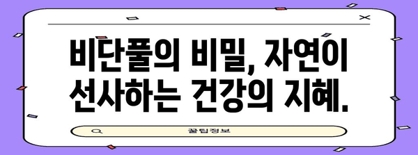 비단풀의 강력한 효능 | 발견해야 할 비밀