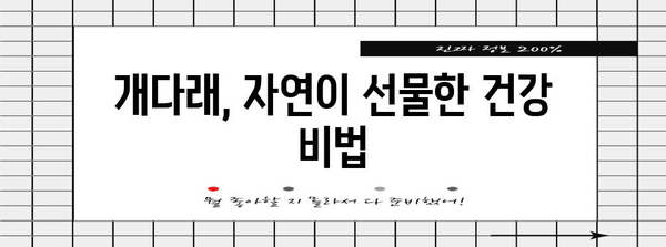 개다래의 놀라운 치유력 | 효능과 사용법