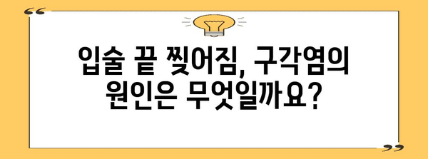 입술 끝 찢어짐(구각염)의 원인과 치료법