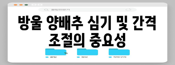 방울 양배추 재배 | 건강한 수확을 보장하는 핵심 원칙