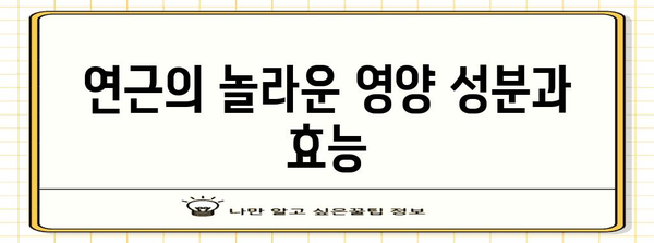 뿌리 채소 연근의 다양한 이점