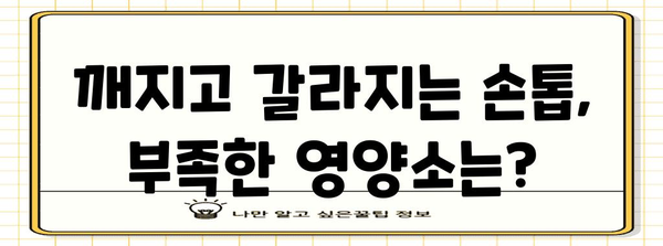 손톱이 말하는 건강 체크리스트