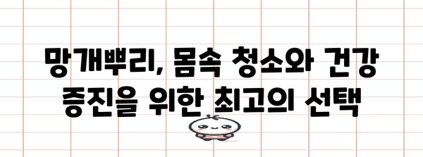 몸속 독소를 자연적으로 제거하는 망개뿌리
