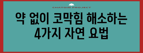 코막힘 대책 | 4가지 효과적인 해결책 알아보기