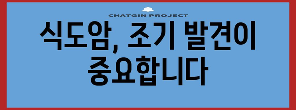 식도암 초기 증상 및 예방법 | 건강한 식습관 유지
