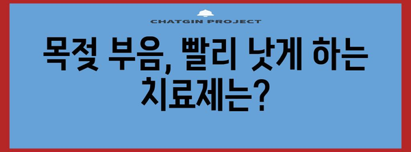 목젖 부음 치료제 알아두기 | 효과와 주의사항