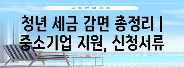 청년 세금 감면 총정리 | 중소기업 지원, 신청서류