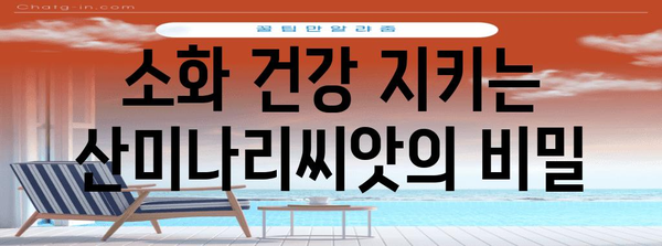 산미나리씨앗의 다양한 효능 찾기