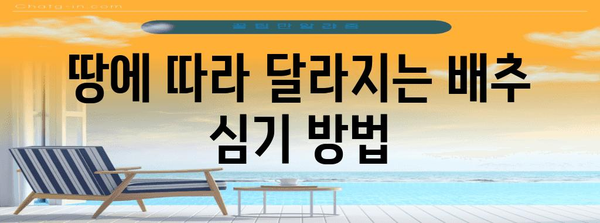 김장배추 모종 완벽심기 가이드 | 가을 김장을 위해
