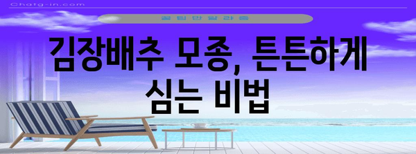 김장배추 모종 완벽심기 가이드 | 가을 김장을 위해