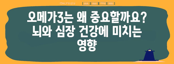 오메가 종류별 효과 비교 | 각 유형의 장점과 적합성
