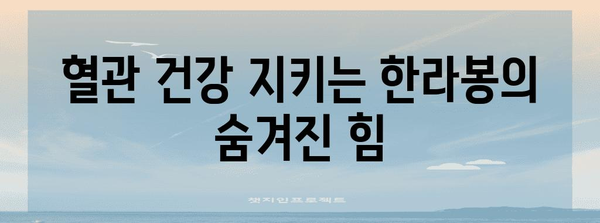 한라봉 건강 비밀 | 탁월한 효능 8가지