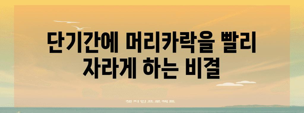 머리카락 신속하게 키우기 | 시간과 비용 절약 팁