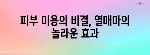 비타민이 가득한 열매마 | 영양소가 마보다 좋은 놀라운 효능
