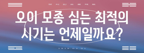 오이 모종 심기 모든 것 | 시기, 방법, 성공적 재배 기술