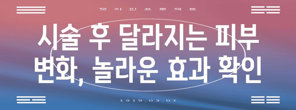시크릿 레이저 결과 분석 | 피부 개선의 비결