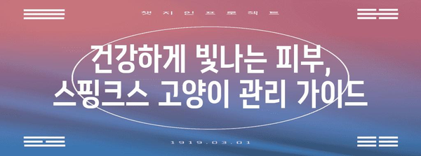 스핑크스 고양이의 성격과 관리 핵심