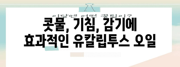 유칼립투스의 강력한 6가지 건강 이점
