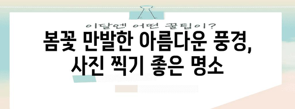 시흥 갯골생태공원에서 즐기는 봄 나들이