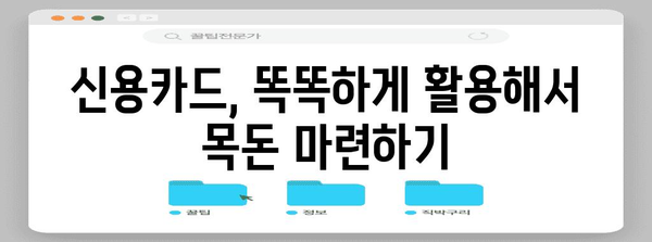 사회초년생 신용카드 발급 가이드 | 맞춤형 카드 선택과 혜택 활용