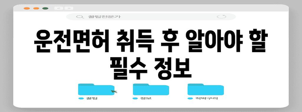 자동차운전면허