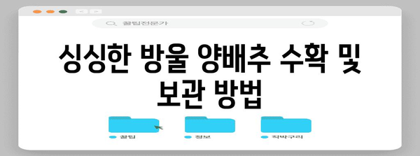 방울 양배추 재배 | 건강한 수확을 보장하는 핵심 원칙