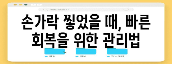 - 손가락 찧은 경우 병원 방문 시기 안내 | 증상, 예방법