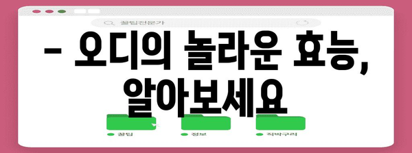 오디의 효능과 영양소 | 건강 향상을 위한 필수 가이드