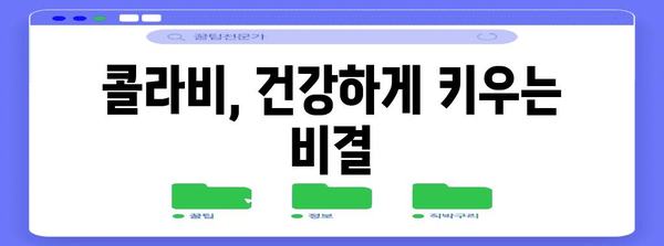콜라비 심기의 요령 | 시기와 방법 파악하기