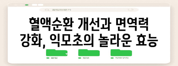 익모초의 다기능 효능 | 8가지 놀라운 이점 확인