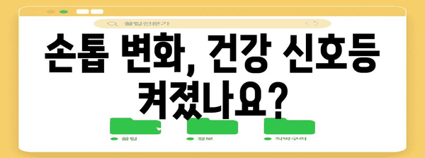 손톱이 말하는 건강 체크리스트