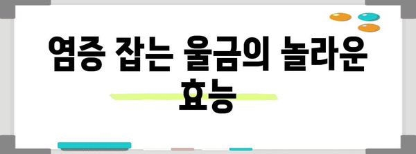 울금의 11가지 효능과 부작용 알아두기