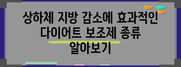 단기 상하체 다이어트 보조제 추천 + 가이드