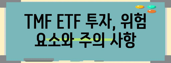 미국 국채 투자의 이해 총망라 | TMF ETF 수익률과 위험 고려 요소