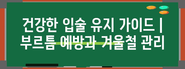 건강한 입술 유지 가이드 | 부르틈 예방과 겨울철 관리