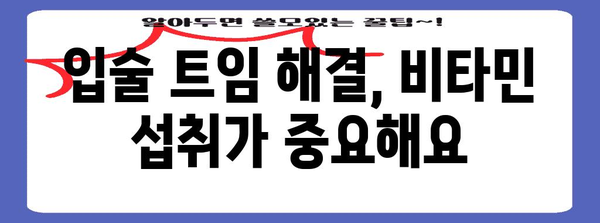 입술 트임 원인과 해결책 | 비타민 부족이 원인일 수 있어요