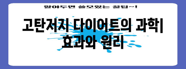 고탄저지 다이어트 | 최신 연구와 효과, 주의 사항