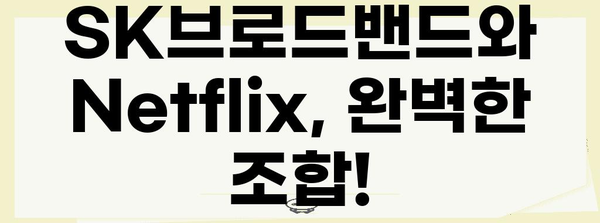 SK브로드밴드 가입부터 Netflix 설정까지 | 간편한 연결 방법