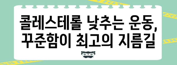 콜레스테롤 낮추기의 필수 원칙과 팁