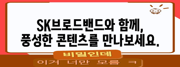 SK브로드밴드 가입부터 Netflix 설정까지 | 간편한 연결 방법