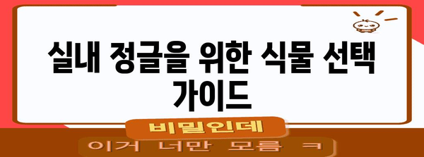 실내 정글 만들기 가이드 | 아늑한 집안 꾸미기